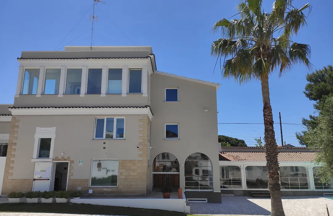 Artemisia B&B-1