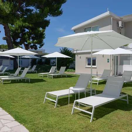 Artemisia B&B-3